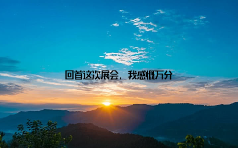 回首这次展会, 我感慨万分