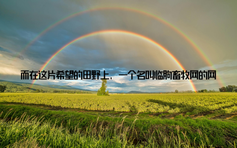 而在这片希望的田野上, 一个名叫临朐畜牧网的网站, 正以其独特的方式, 助力乡村振兴, 成为行业动态的聚焦点, 让最新资讯一览无遗