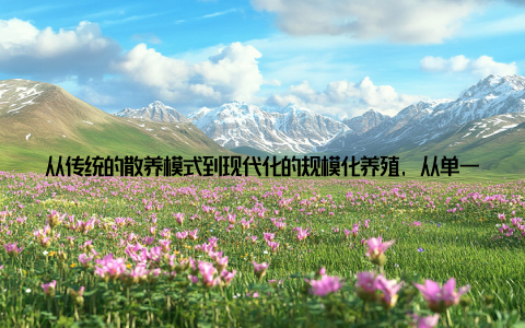 从传统的散养模式到现代化的规模化养殖, 从单一的畜牧产品到多元化的产业链, 哈尔滨现代畜牧正以惊人的速度, 迈向更高的台阶