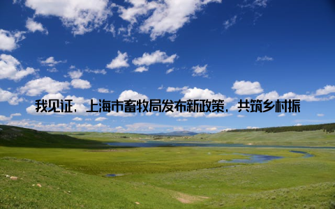 我见证, 上海市畜牧局发布新政策, 共筑乡村振兴梦! 大家好, 我是上海市畜牧局的负责人, 今天我想和大家分享一下我们最近发布的一则重大政策, 它不仅规范了畜牧行业的发展, 更是助力乡村振兴的重要一步