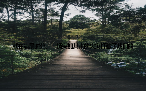 就在凌晨时分, 一场突如其来的火灾打破了我们的宁静我记得当时火光冲天, 浓烟滚滚, 整个公司都被火势笼罩