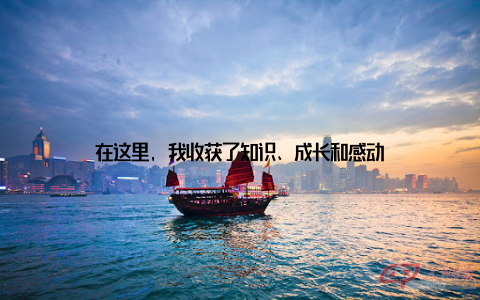 在这里, 我收获了知识、成长和感动