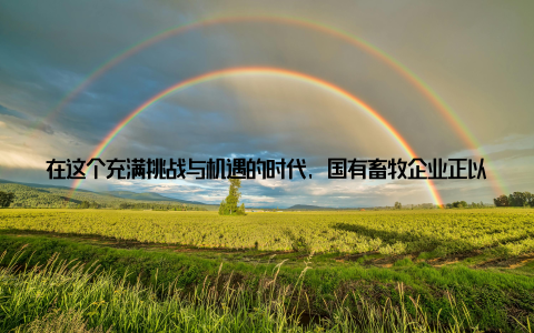 在这个充满挑战与机遇的时代, 国有畜牧企业正以转型升级的新姿态, 助力乡村振兴战略全面实施, 为祖国的美丽乡村建设注入源源不断的活力