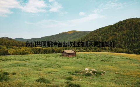 我们共同期待着畜牧业的明天更加美好