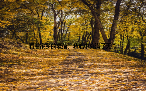 看着家乡的衰落, 我心中充满了无奈