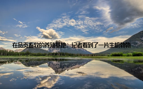 在品贡畜牧的养殖基地, 记者看到了一片生机勃勃的景象品贡畜牧采用公司+基地+农户的养殖模式, 从源头把控食品安全