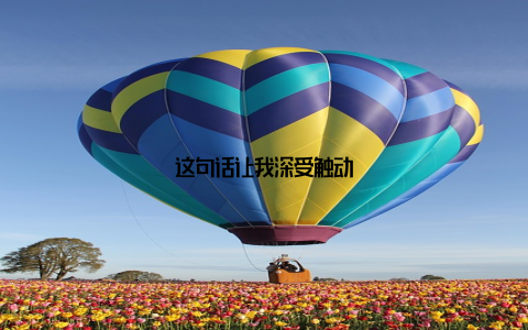 这句话让我深受触动