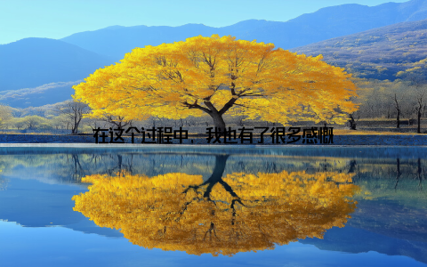 在这个过程中, 我也有了很多感慨