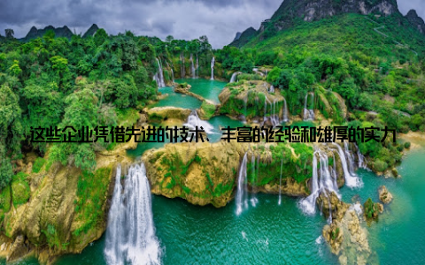 这些企业凭借先进的技术、丰富的经验和雄厚的实力, 成为了全球畜牧行业的佼佼者在发布会现场, 我还听到了许多行业专家的精彩演讲