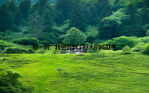 那一刻, 我感受到了巨大的成就感