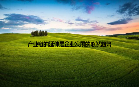产业链的延伸是企业发展的必然趋势