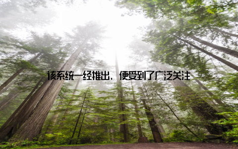 该系统一经推出, 便受到了广泛关注