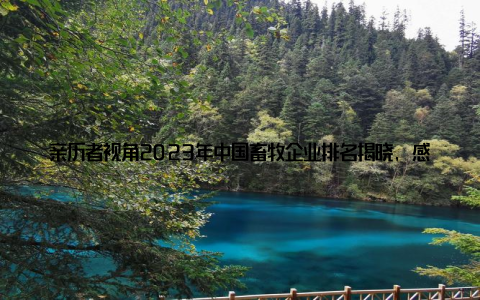 亲历者视角2023年中国畜牧企业排名揭晓, 感受行业巨变的脉搏嘿, 大家好! 今天我要和大家分享一个激动人心的消息2023年中国畜牧企业综合实力排行榜揭晓了! 作为这个行业的一员, 我深感自豪, 也感慨万分