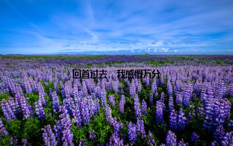 回首过去, 我感慨万分