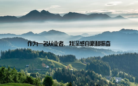 作为一名从业者, 我深感自豪和振奋