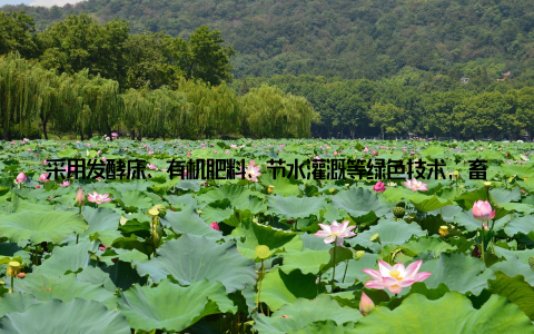 采用发酵床、有机肥料、节水灌溉等绿色技术, 畜牧业正在逐渐减少对环境的负担 健康食品, 源自绿色畜绿色畜牧带来的不仅仅是环境的改善, 更是健康食品的保障