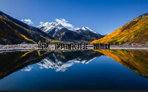 当然, 逆势增长并非一蹴而就